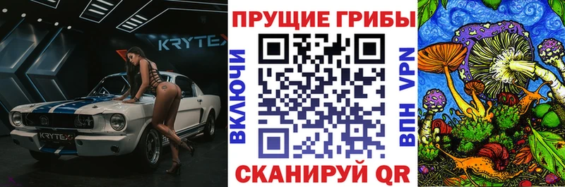 где можно купить   Магадан  Псилоцибиновые грибы мухоморы 