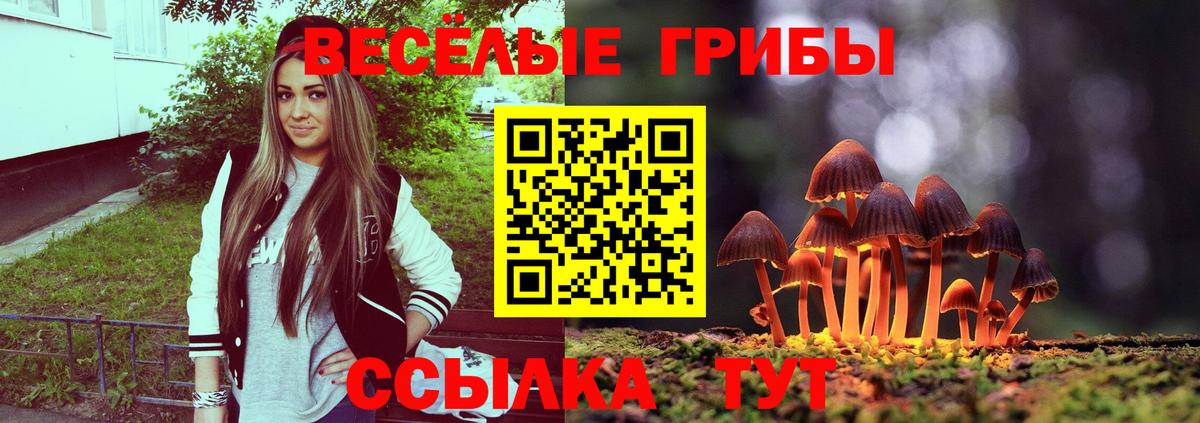 Псилоцибиновые грибы прущие грибы  Вход с VPN  Магадан 