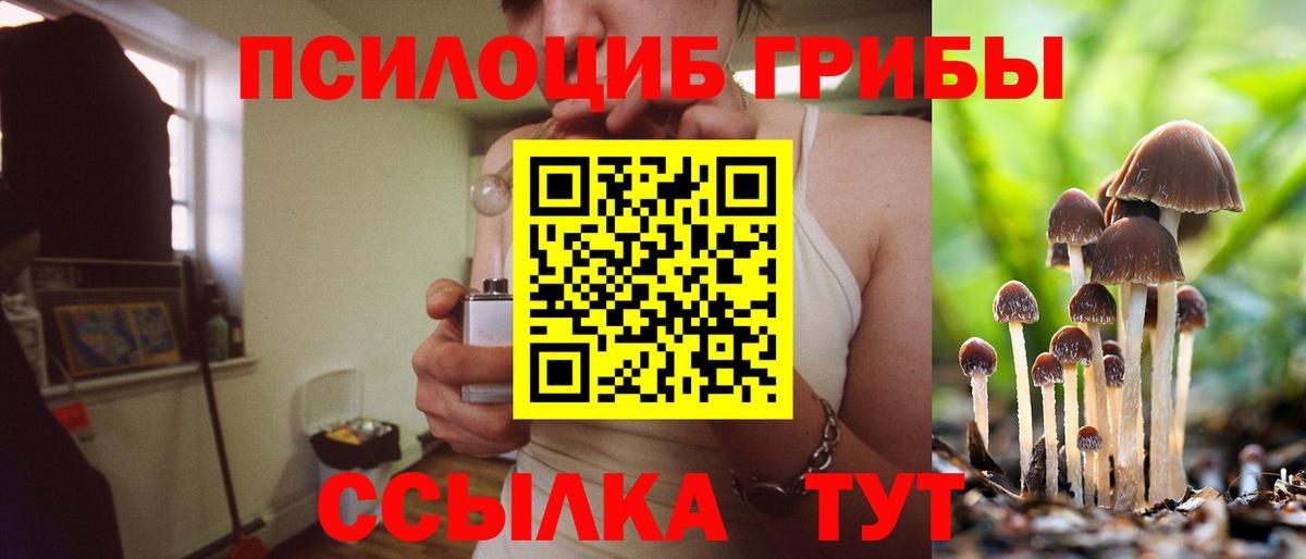 Псилоцибиновые грибы ЛСД Магадан